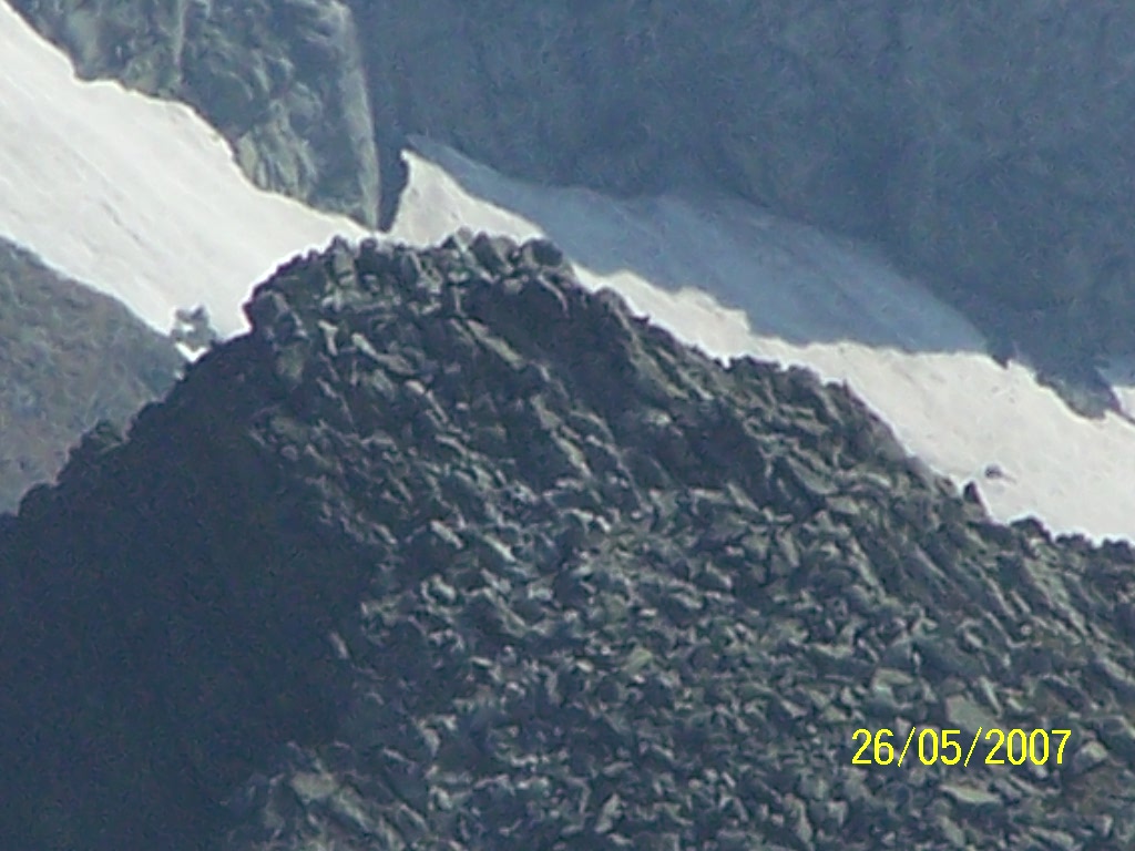 100_0662.jpg